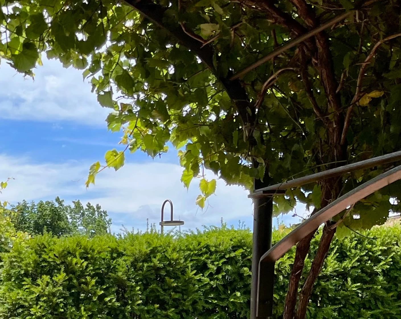 A nice mindful garden